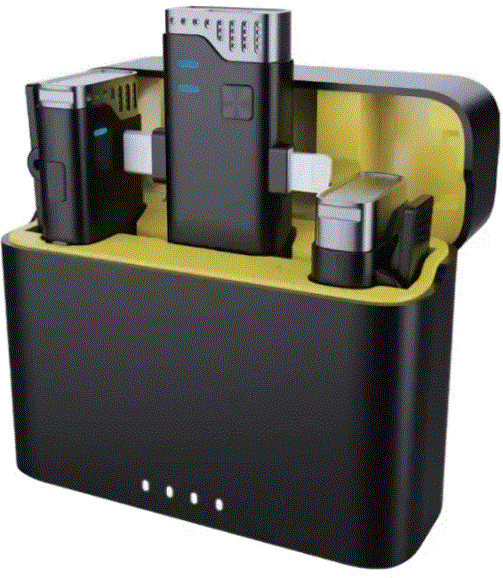 3-in-1 Microphone ©